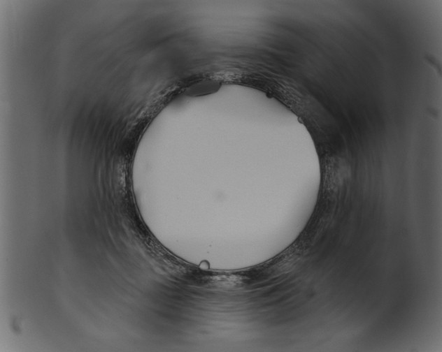 X0000100870363200807181242