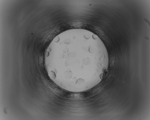 X0000100870365200807181242