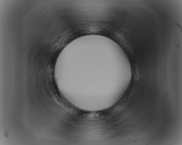 X0000100870366200807181242