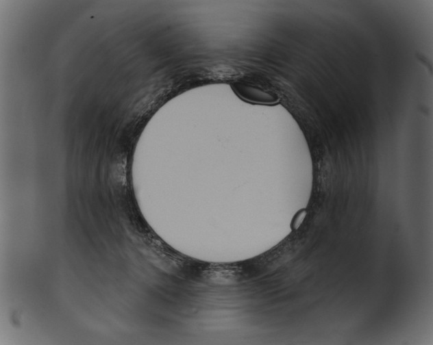 X0000100870368200807181242
