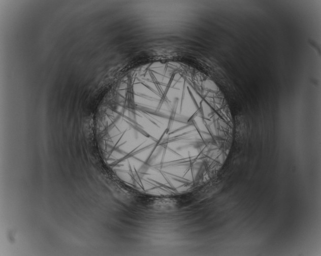 X0000100870369200807181242