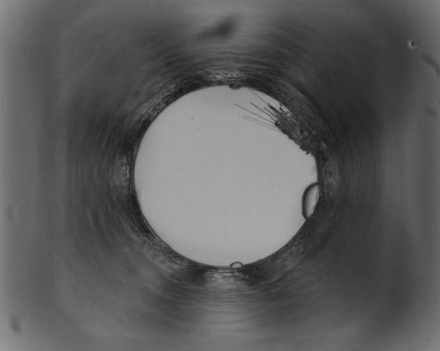 X0000100870372200807181242