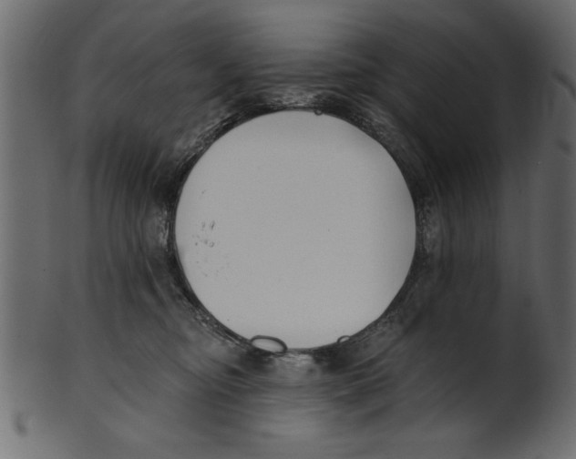 X0000100870374200807181242