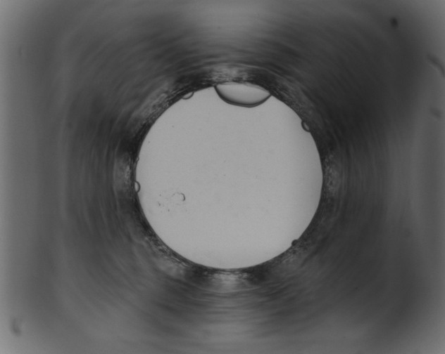 X0000100870375200807181242