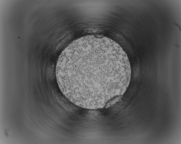 X0000100870376200807181242