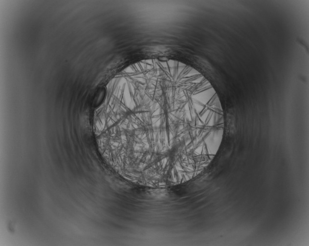 X0000100870377200807181242