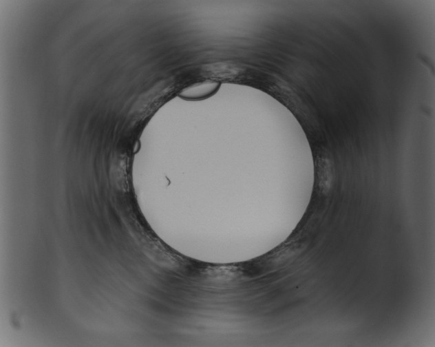 X0000100870378200807181242