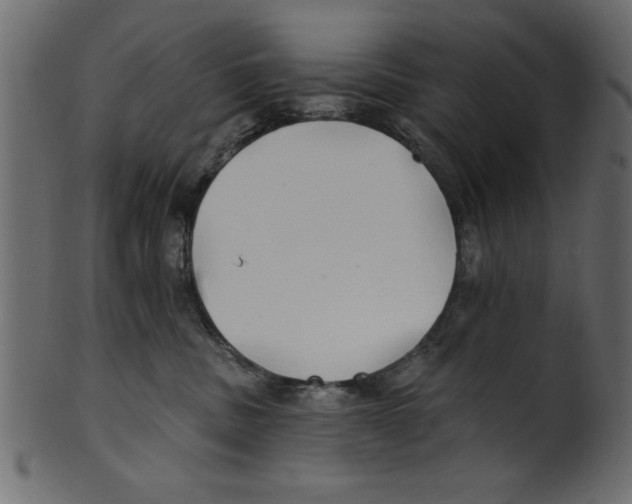 X0000100870379200807181242
