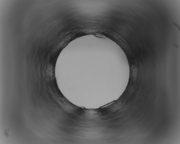 X0000100870380200807181242