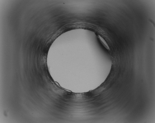 X0000100870382200807181242