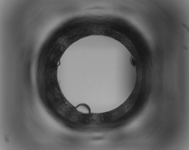 X0000100870383200807181242