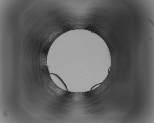 X0000100870384200807181242