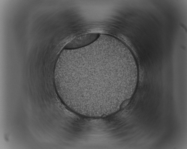 X0000100870385200807181241