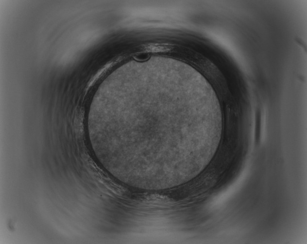 X0000100870387200807181241