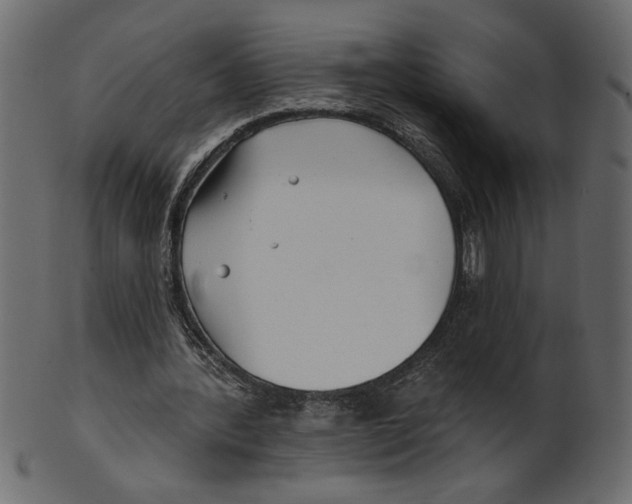 X0000100870388200807181241
