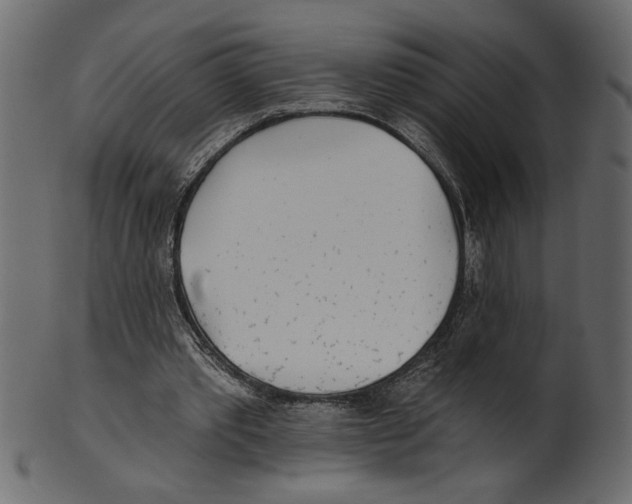 X0000100870389200807181241