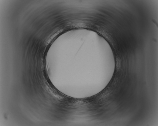 X0000100870390200807181241