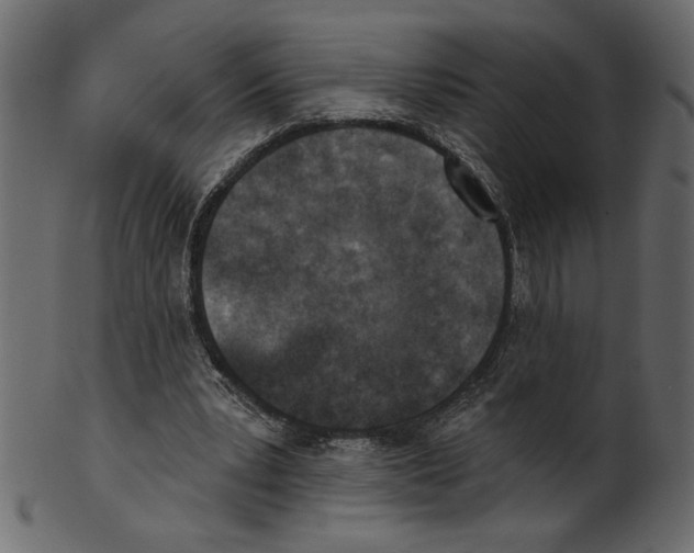 X0000100870391200807181241