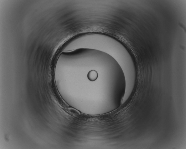 X0000100870392200807181241