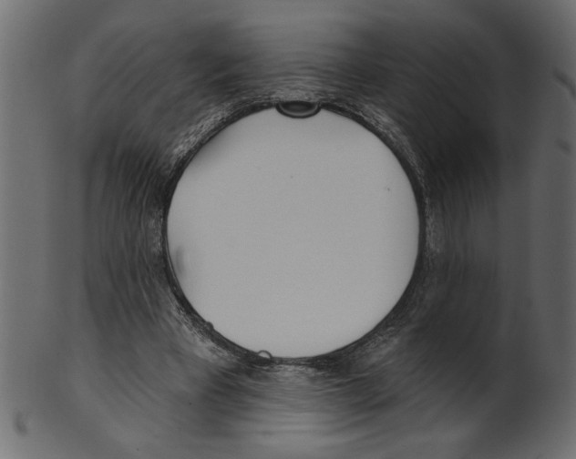 X0000100870393200807181241