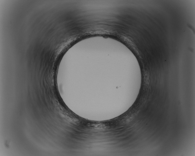 X0000100870395200807181241