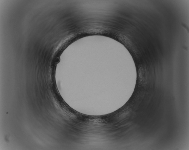 X0000100870396200807181241