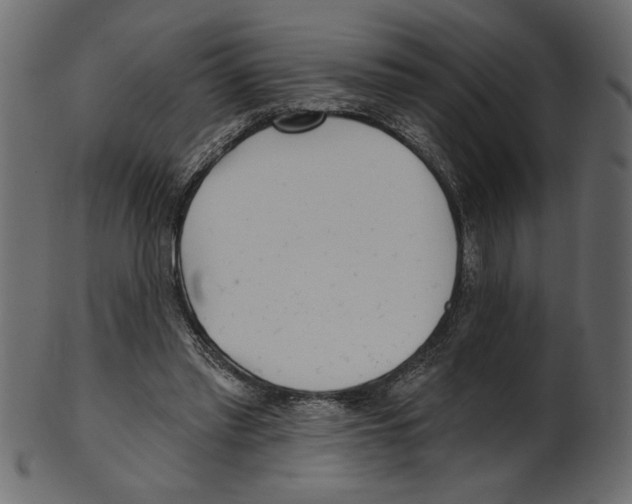 X0000100870397200807181241