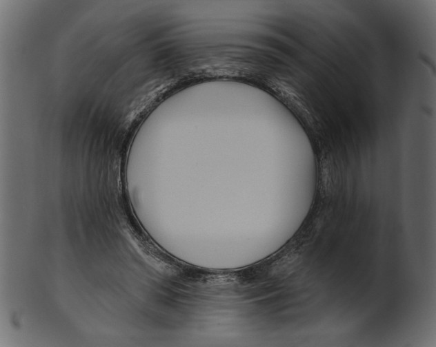 X0000100870398200807181241