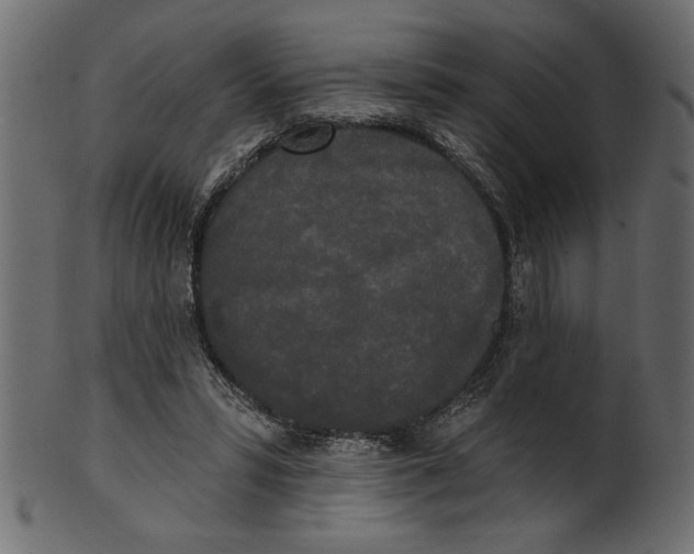 X0000100870399200807181241