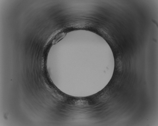 X0000100870400200807181241