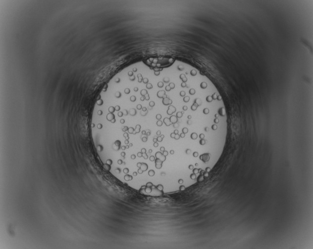 X0000100870401200807181241