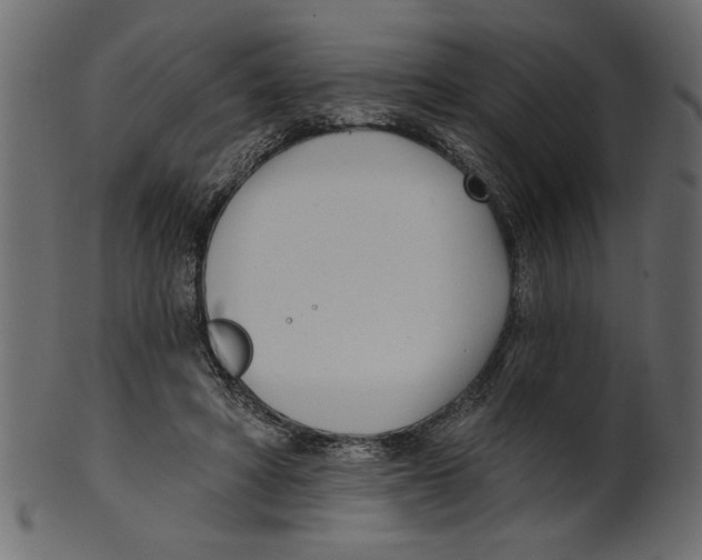 X0000100870402200807181241