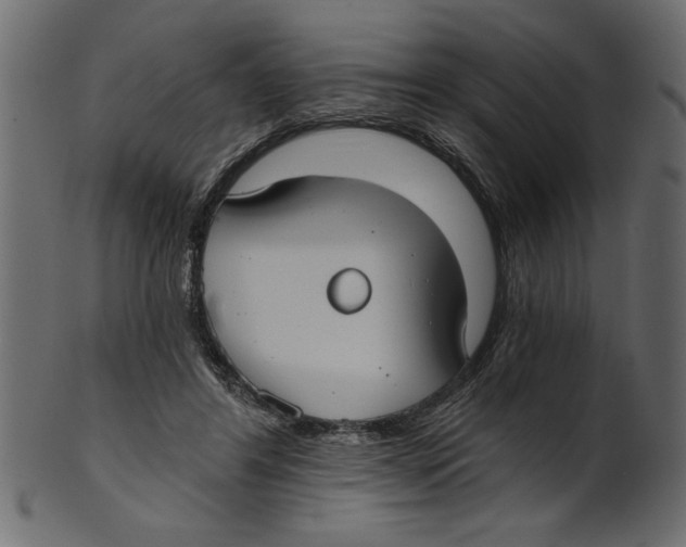 X0000100870404200807181241