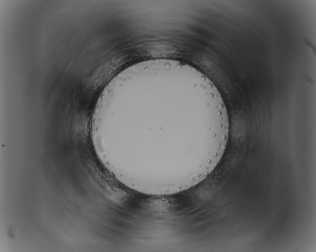 X0000100870405200807181241