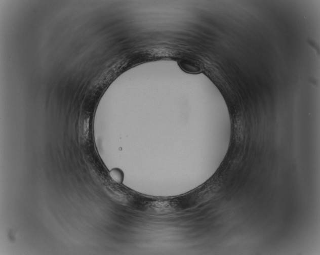 X0000100870406200807181241