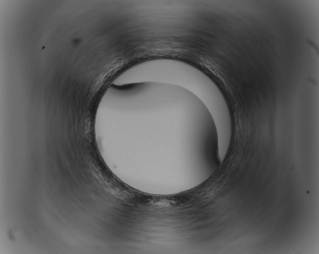 X0000100870407200807181241