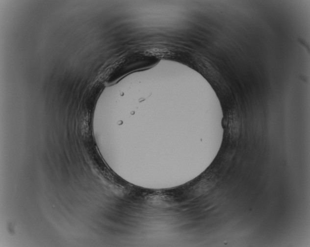 X0000100870408200807181241