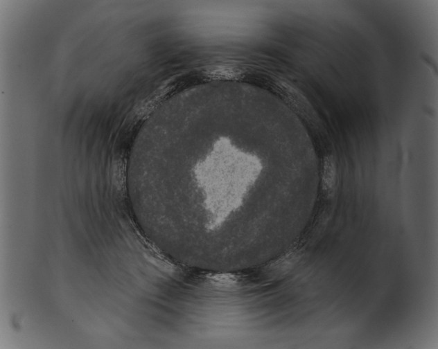 X0000100870409200807181241