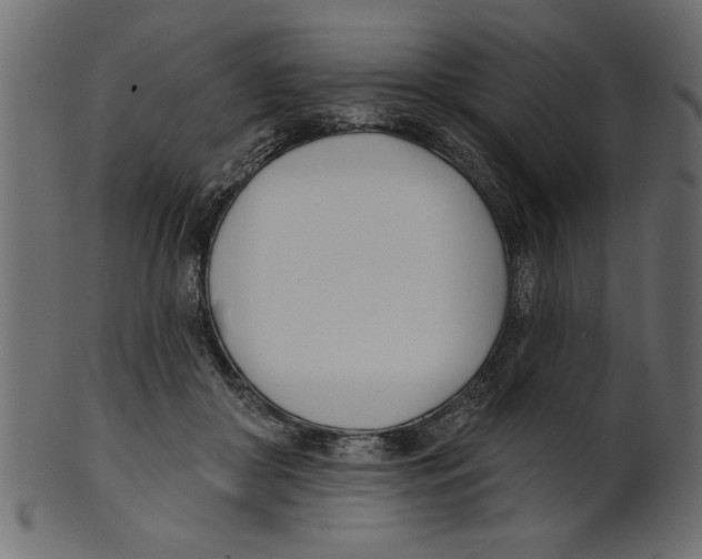X0000100870410200807181241
