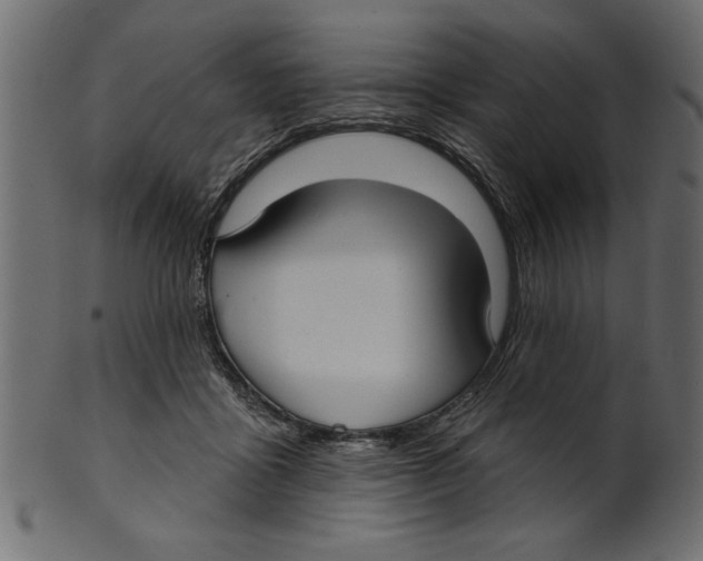 X0000100870411200807181241