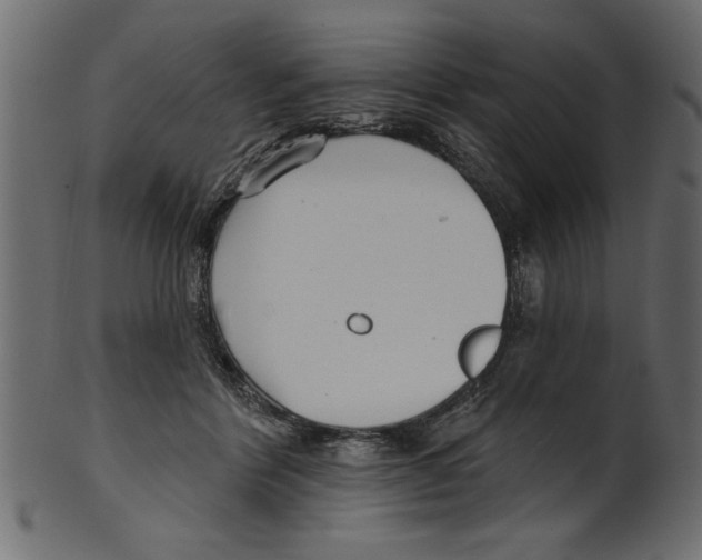X0000100870412200807181241