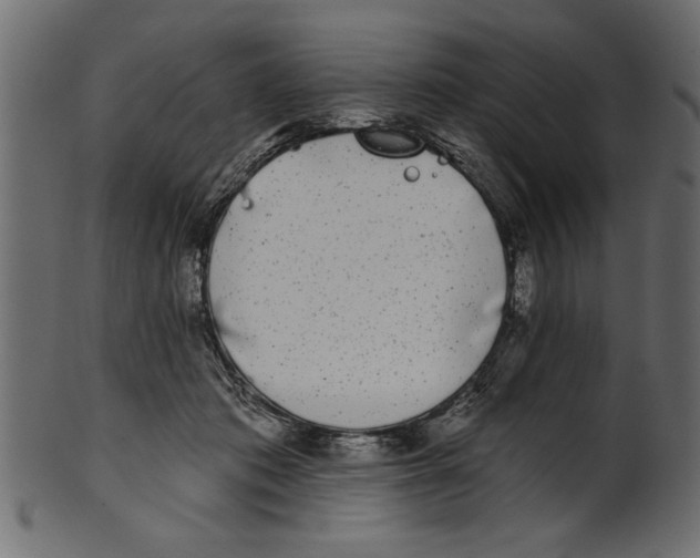 X0000100870413200807181241