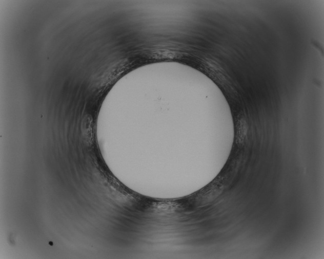 X0000100870414200807181241