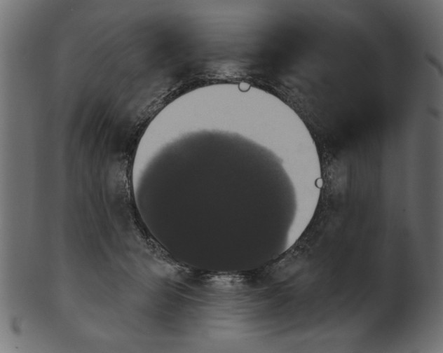 X0000100870415200807181241