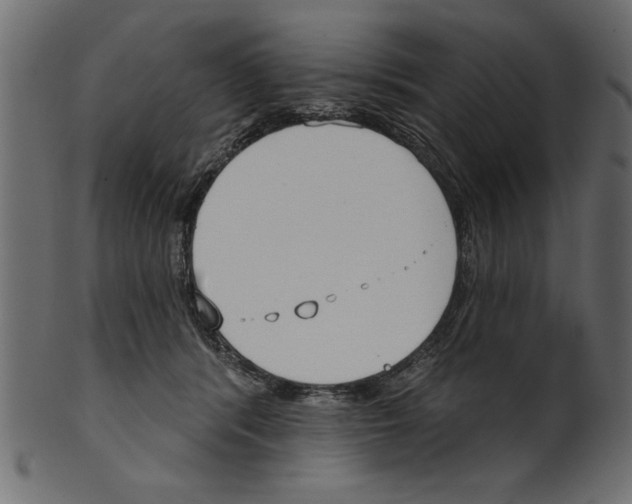 X0000100870416200807181241