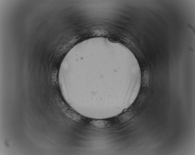 X0000100870417200807181241