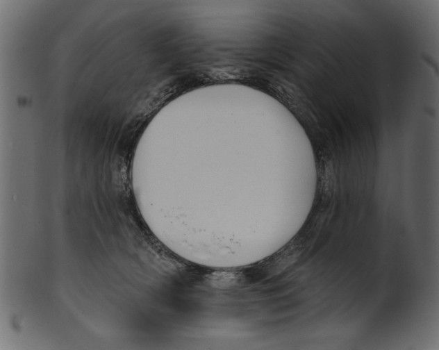 X0000100870418200807181241