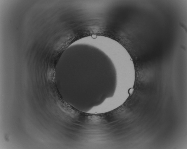 X0000100870419200807181241