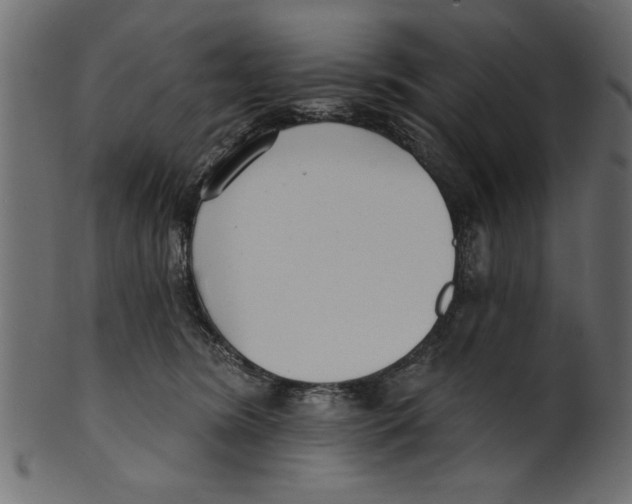 X0000100870420200807181241