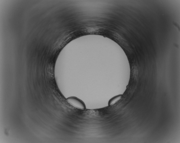 X0000100870421200807181241